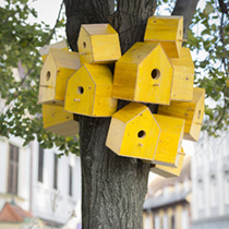 Architekturfotografie Divers